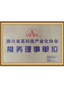 Executive Director of Sichuan High-tech Industry Association
