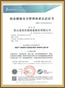 Occupational health and safety management certification
